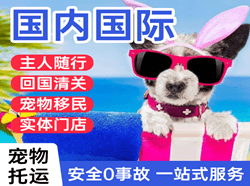 周水子国际宠物托运 【国